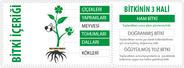 bitkinincicekyapraktohumdallarhamhali.png (38 KB)