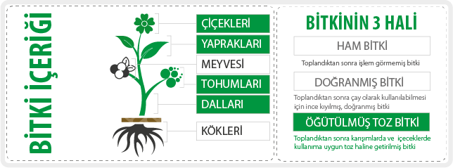 bitkinincicekyapraktohumdallartozhali.png (39 KB)