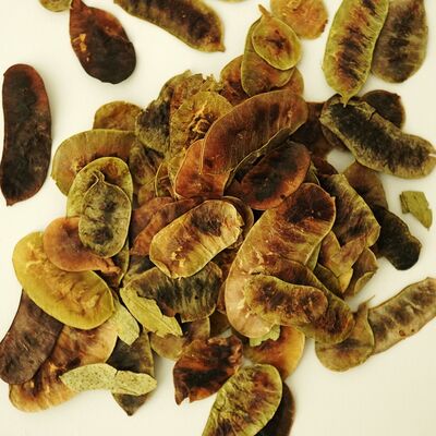 AÇLIK OTU 50 GR - 2