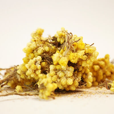 ALTIN OTU ÖLMEZ ÇİÇEK 40 GR - 3