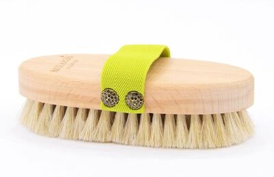 Modern Aktar - AT KILI FIRÇA (KREM)