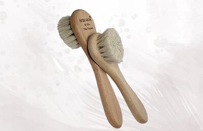 Modern Aktar - AT KILI YÜZ FIRÇASI