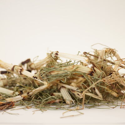 AT KUYRUĞU KIRKKİLİT OTU 40 GR - 2