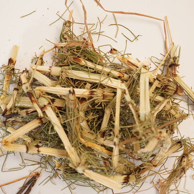 AT KUYRUĞU KIRKKİLİT OTU 40 GR - 3