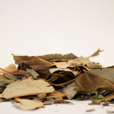 AVOKADO YAPRAĞI 60 GR - 2