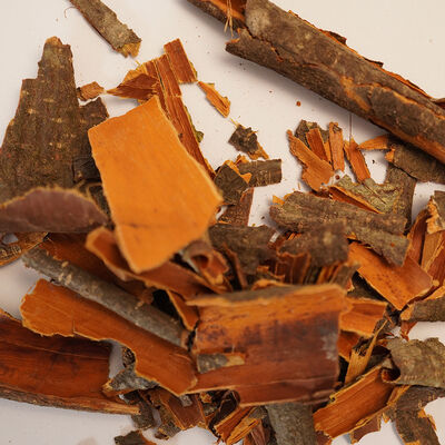 BARUT AĞACI KABUĞU 60 GR - 3