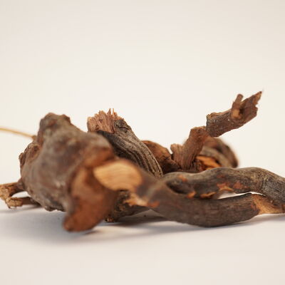 BÖĞÜRTLEN KÖKÜ 120 GR - 2