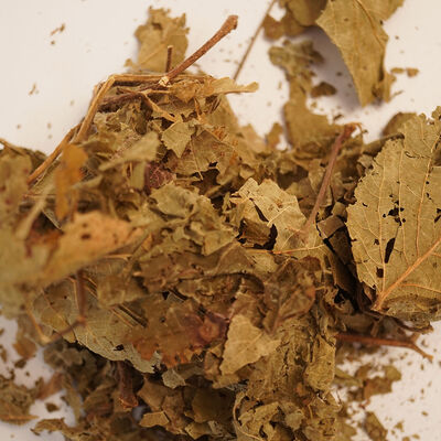 BÖĞÜRTLEN YAPRAĞI 40 GR - 3