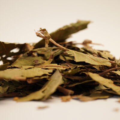 CEVİZ YAPRAĞI 50 GR - 2