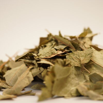 ÇINAR YAPRAĞI  30 GR - 2