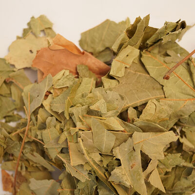 ÇINAR YAPRAĞI  30 GR - 3