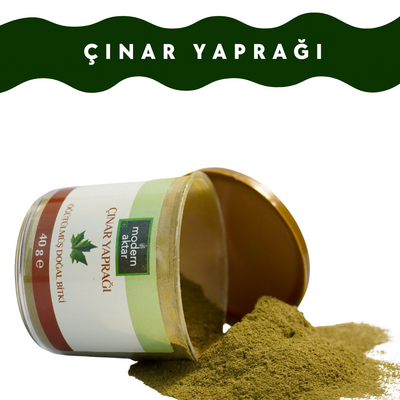Modern Aktar - ÖĞÜTÜLMÜŞ ÇINAR YAPRAĞI 40 GR