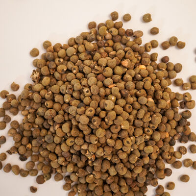 DOĞAL BAMYA TOHUMU 160 GR - 2