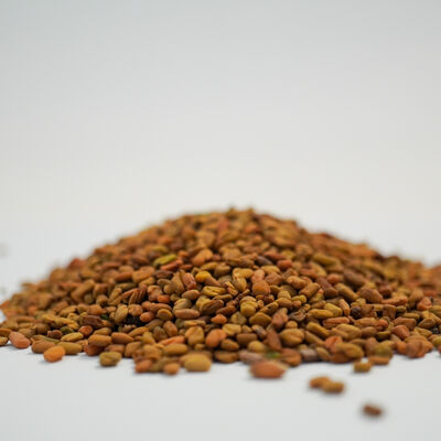 ÇEMEN TANE 200 GR - 3