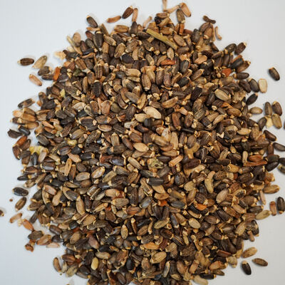 DEVE DİKENİ TOHUMU 150 GR - 2