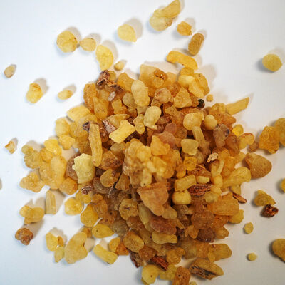 GÜNLÜK (SIĞLA) SAKIZI 160 GR - 2