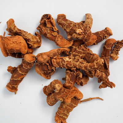 HAVLICAN KÖK 100 GR - 2