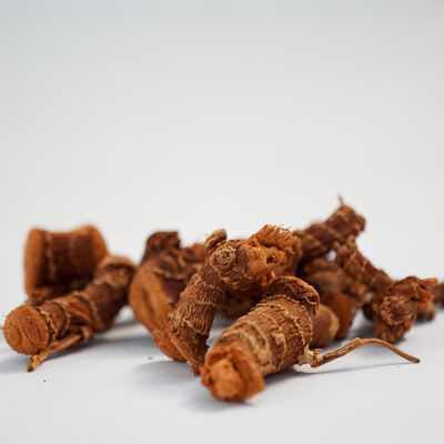 HAVLICAN KÖK 100 GR - 3