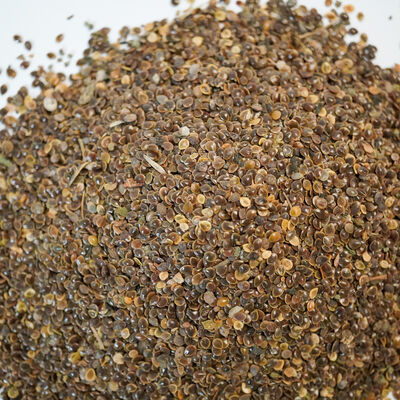 ISIRGAN TOHUMU 170 GR - 2