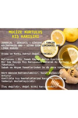 DOĞAL KIŞ KARIŞIMI 100 GR - 2