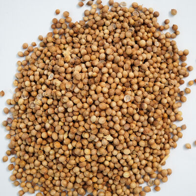 KİŞNİŞ TANE 100 GR - 2