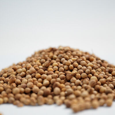 KİŞNİŞ TANE 100 GR - 3