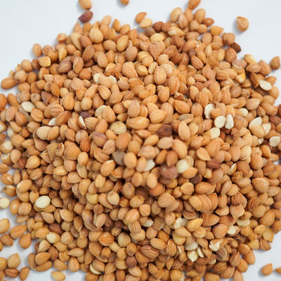 MAHLEP TANE 170 GR - 2