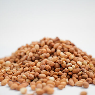 MAHLEP TANE 170 GR - 3