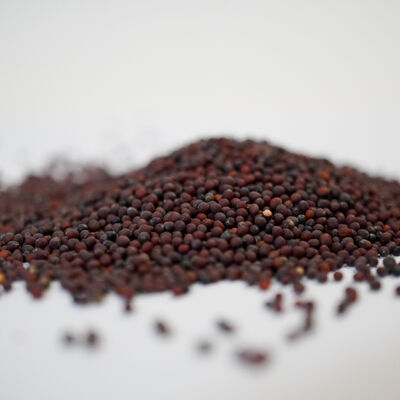 DOĞAL ŞALGAM TOHUMU 200 GR - 3