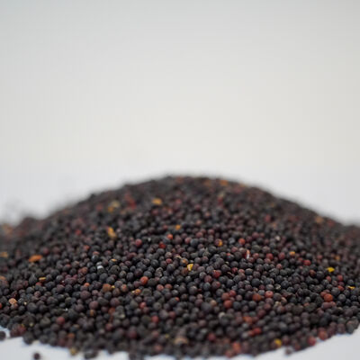 SİYAH HARDAL TOHUMU  180 GR - 3