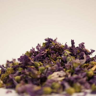 EBEGÜMECİ 50 GR (İTHAL LÜKS) - 2