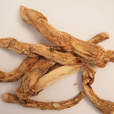 EĞİR KÖKÜ 100 GR - 3