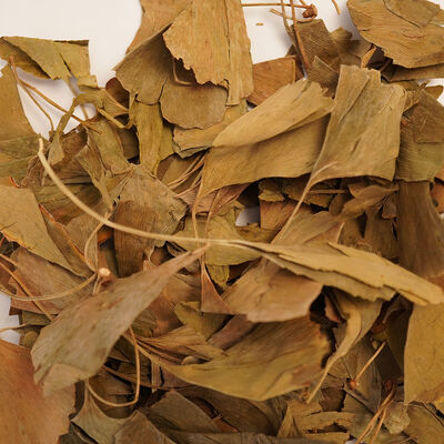 GINKGO BİLOBA  70 GR - 3