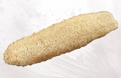 Modern Aktar - HAM KABAK LİFİ