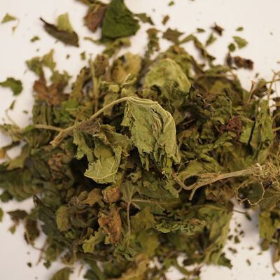 ISIRGAN OTU 40 GR - 2