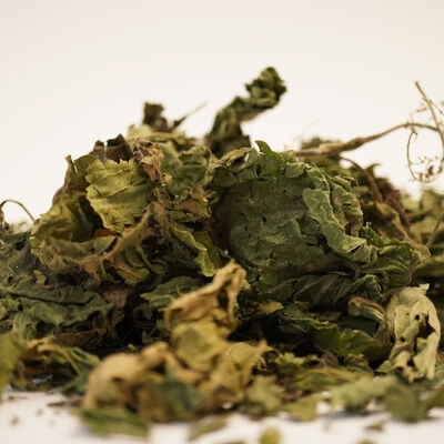 ISIRGAN OTU 40 GR - 3