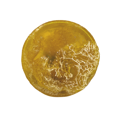 KABAK LİFLİ PORTAKAL VE BERGAMOT SABUNU 150 GR - 2