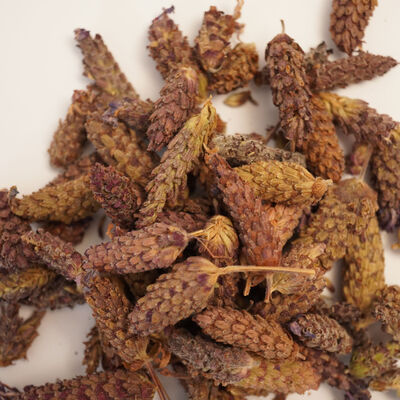 KARABAŞ OTU 40 GR - 2