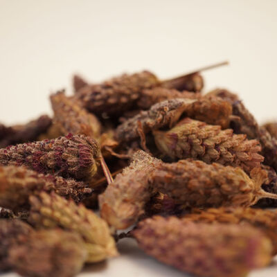 KARABAŞ OTU 40 GR - 3