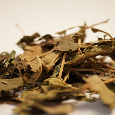 KARADUT YAPRAĞI 40 GR - 3