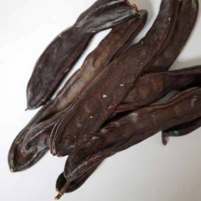 KEÇİBOYNUZU 200 GR - 3