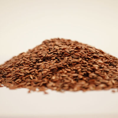 KETEN TOHUMU TANE 250 GR - 3