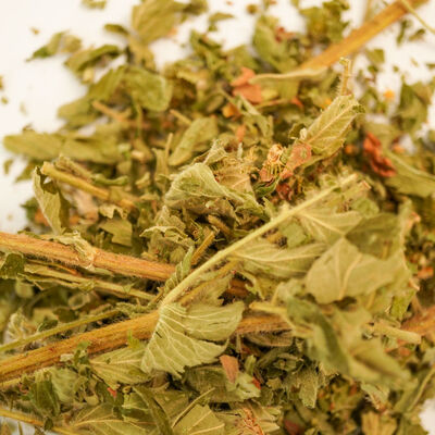 KOYUN OTU ( FITIK OTU ) 30 GR - 2