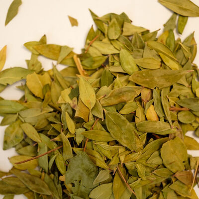 MERSİN YAPRAĞI MURT 80 GR - 2