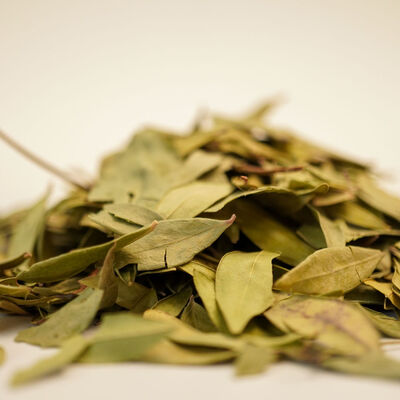 MERSİN YAPRAĞI MURT 80 GR - 3