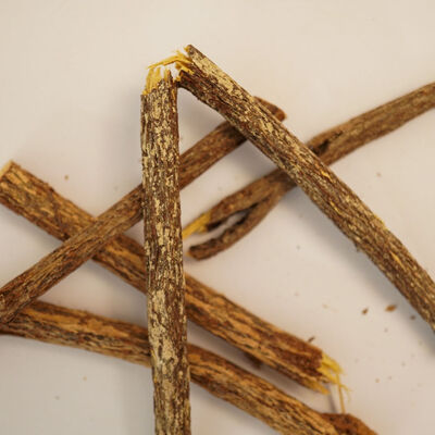 MEYAN KÖKÜ 100 GR - 2