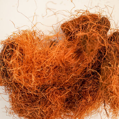 MISIR PÜSKÜLÜ 40 GR - 2