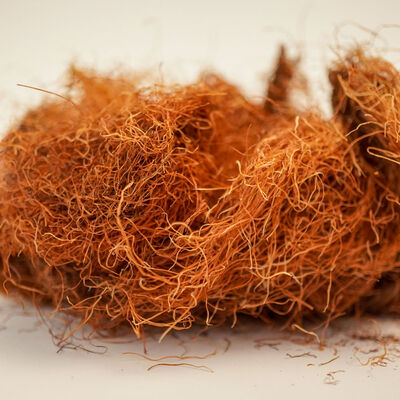 MISIR PÜSKÜLÜ 40 GR - 3