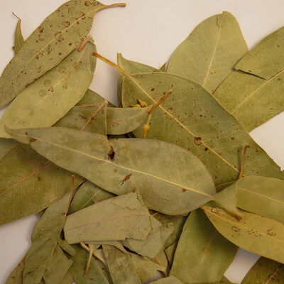 OKALİPTUS YAPRAĞI 60 GR - 2