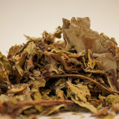 ÖKSÜRÜK OTU 40 GR - 3